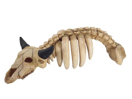 Kvalitná dekorácia do všetkých typov akvárií Nobby Animal skeleton - Zvieracia kostra 34cm