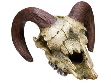 Kvalitná dekorácia do všetkých typov akvárií Nobby Ram Skull - Barania lebka 17,5x16x9,5cm