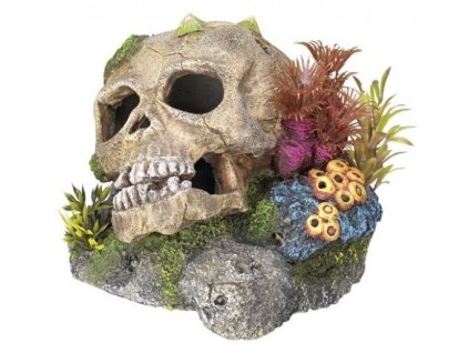 Kvalitná dekorácia do všetkých typov akvárií Nobby Skull - Lebka s rastlinami 13,5x13,5x10,5cm