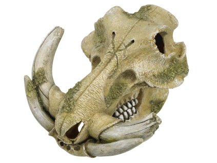 Dekorácia do akvária z polyresinu Nobby Warthog skull 19,3cm - Lebka prasaťa bradavičnatého