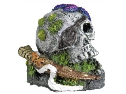 Kvalitná dekorácia do všetkých typov akvárií Nobby Skull with Starfish - Lebka s hviezdicou 7,5x7,7x
