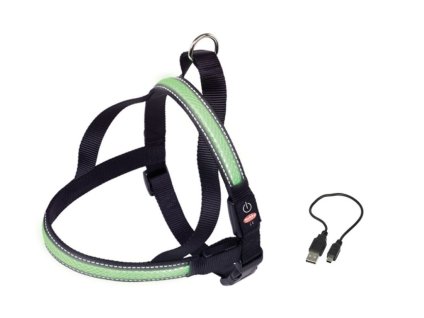 Svietiaci nórsky postroj "FLASH MESH"