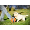 Skvelá lopta pre psov s ľahkým úchopom pre divokú hru Chuckit Kick Fetch S
