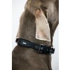 Pevný a kvalitný obojok pre psy s neoprénovou podšívkou pre obvod krku 30-40cm Nobby Cover S