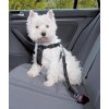 Kvalitný bezpečnostný postroj s opaskom pre psy do auta od Nobby veľkosti S v čiernej farbe