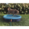 Kvalitný bazén pre psov s malými striekajúcimi otvormi Nobby Splash Pool 2v1 Ø80x20cm modrá