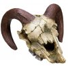 Kvalitná dekorácia do všetkých typov akvárií Nobby Ram Skull - Barania lebka 17,5x16x9,5cm