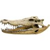 Kvalitná dekorácia do všetkých typov akvárií Nobby Crocodile Skull - Lebka krokodíla 47,5cm