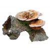 Kvalitná dekorácia do všetkých typov akvárií Nobby Wood Cave with Mushrooms - Dutý peň s hubami 18cm