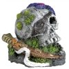 Kvalitná dekorácia do všetkých typov akvárií Nobby Skull with Starfish - Lebka s hviezdicou 7,5x7,7x