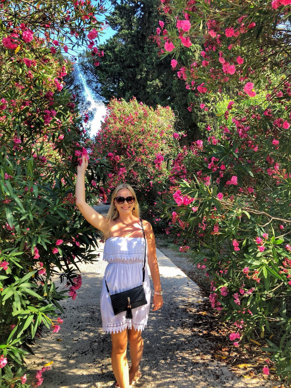 36967572_10209638832807744_394322858706206720_n