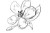 flowers_1
