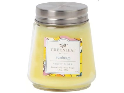 Snímek obrazovky 2026 01 13 101700