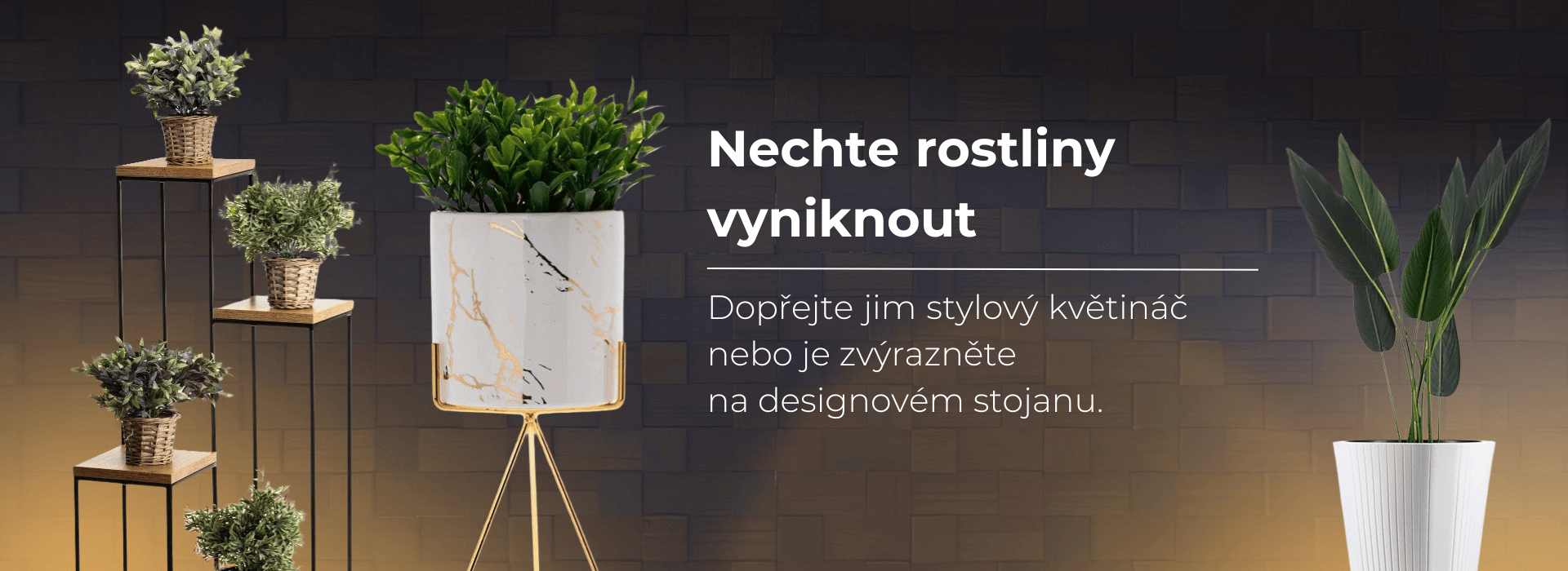 Nechte rostliny vyniknout