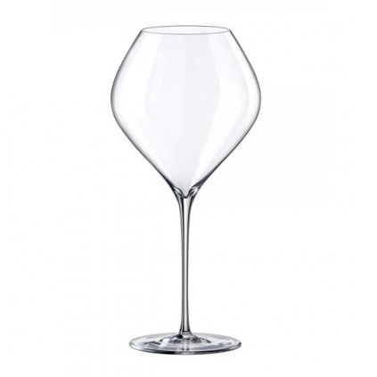 RONA SWAN SKLENICE NA VÍNO 860ML SADA 6 KS