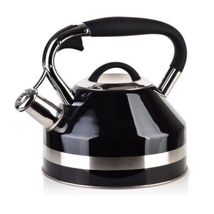 Kovová čajová konvice Georg Black 2l