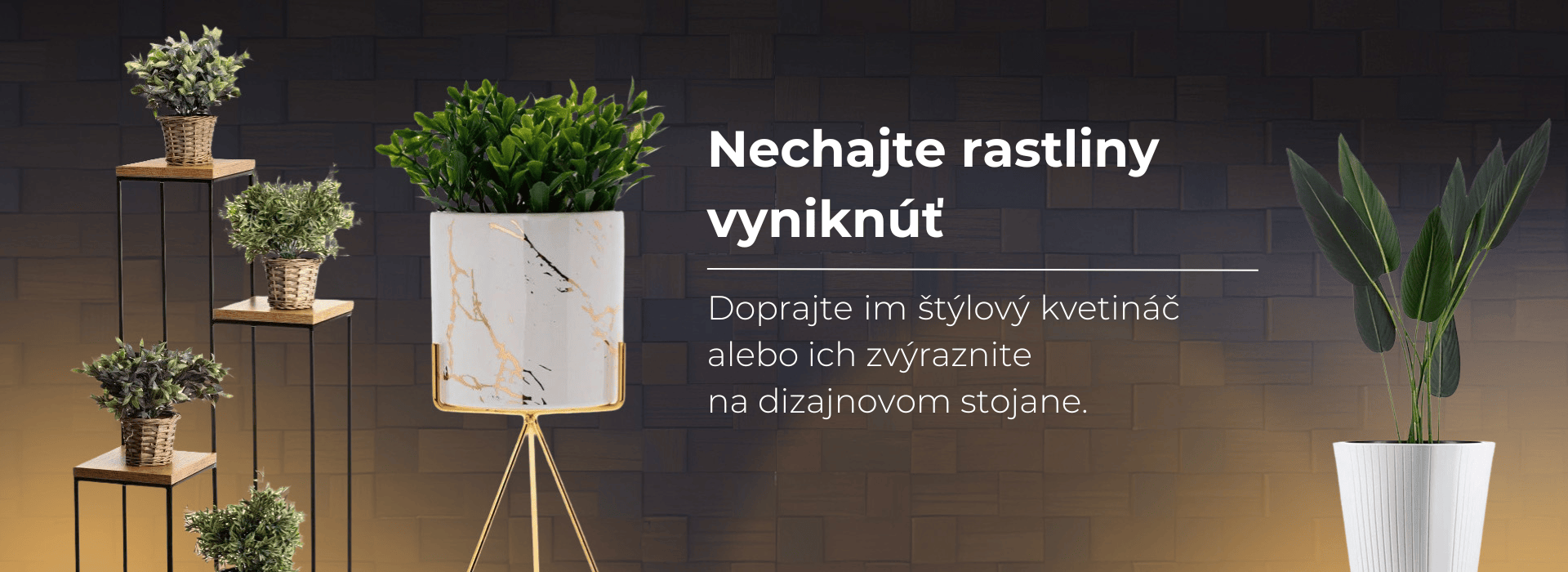 Nechajte rastliny vyniknúť