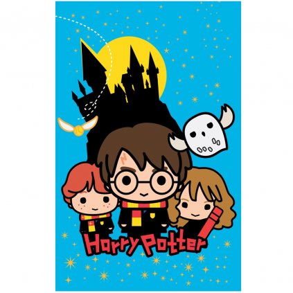 DETSKÁ FLEECOVÁ DEKA HARRY POTTER 100X150 CM VZOROVANÁ