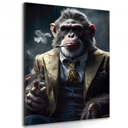 Obraz zvierací gangster šimpanz