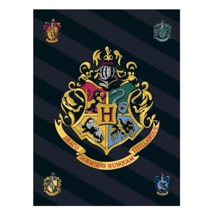 DETSKÁ FLEECOVÁ DEKA HARRY POTTER 100X140 CM VZOROVANÁ