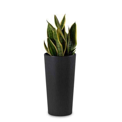 PLASTOVÝ KVETINÁČ URBANIKA ECO 19,5X36,5 CM ČIERNA