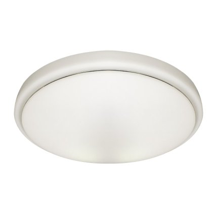 Stropné LED svietidlo Pepe, 1x LED 10w, 4000k, w