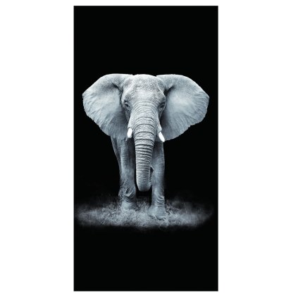PLÁŽOVÁ OSUŠKA Z MIKROVLÁKNA ELEPHANT2 100X180 CM VZOROVANÁ