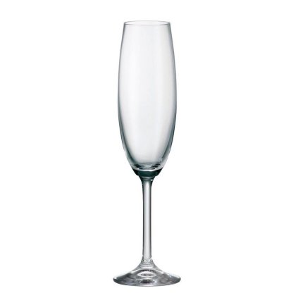 BOHEMIA COLIBRI POHÁR NA ŠAMPANSKÉ 220ML SADA 6KS