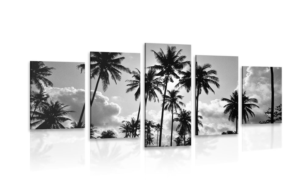 5-dielny obraz kokosové palmy na pláži v čiernobielom prevedení Varianta: 200x100