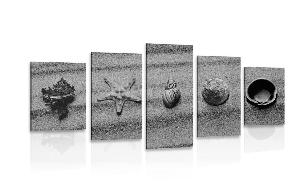 5-dielny obraz mušle na piesočnatej pláži v čiernobielom prevedení Varianta: 200x100