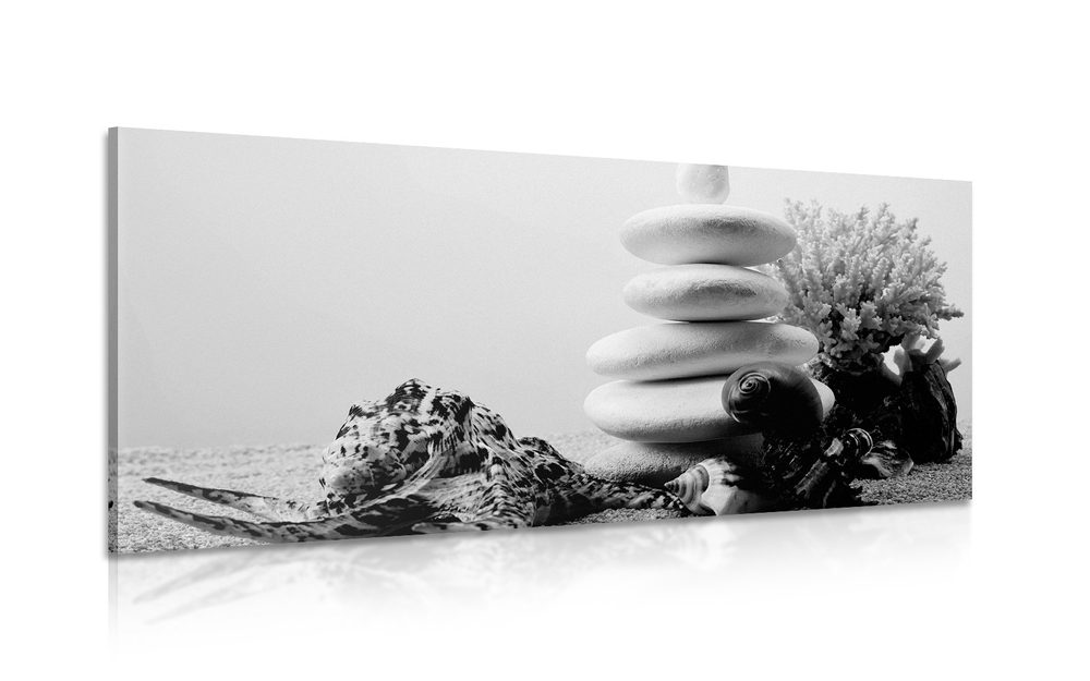 Obraz Zen kamene s mušľami v čiernobielom prevedení Varianta: 100x50