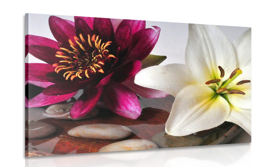 Obraz kvety v miske so Zen kameňmi Varianta: 90x60