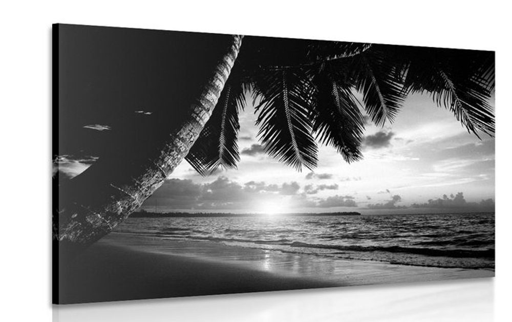 Obraz východ slnka na karibskej pláži v čiernobielom prevedení Varianta: 90x60