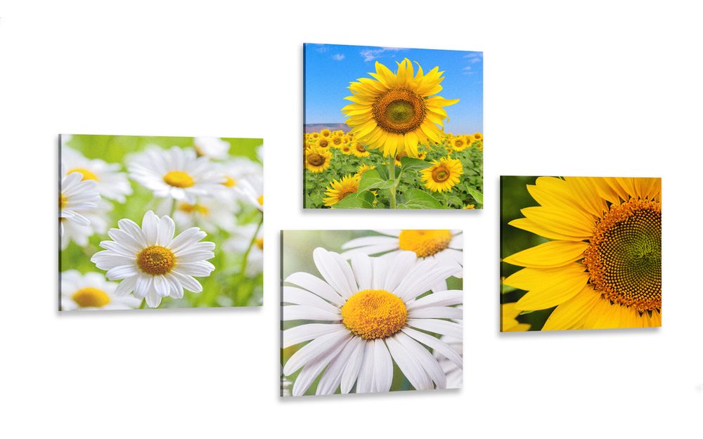 Set obrazov nádherné kvety na lúke Varianta: 4x 60x60