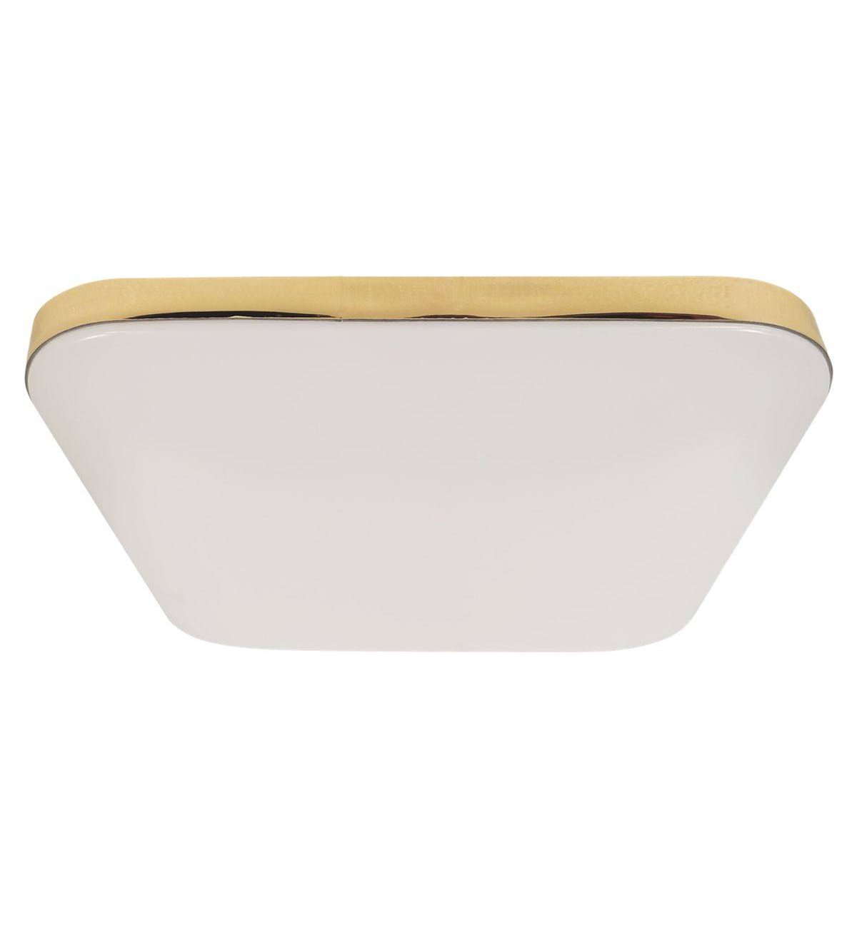 Stropné LED svietidlo Nemo, 1x LED 17w, (biely PVC), g