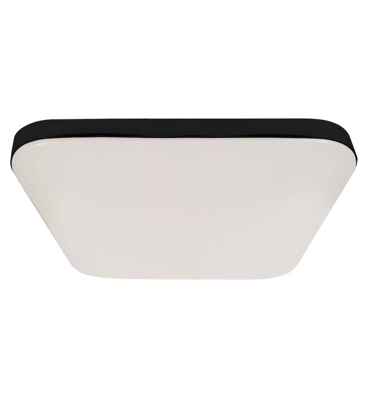 Stropné LED svietidlo Nemo, 1x LED 17w, (biely PVC), b