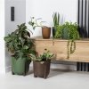 PLASTOVÝ KVETINÁČ MOSS ECO 25X26 CM HORČICOVÁ