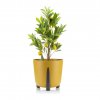 PLASTOVÝ KVETINÁČ MOSS ECO 25X26 CM HORČICOVÁ