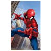 DETSKÝ FROTÉ UTERÁK SPIDERMAN 30X50 CM VZOROVANÝ