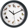 Nástenné hodiny Birds, biela/zelená