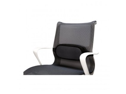 bederni operka fellowes i spire cerna img bedern oprka fellowes i spire tern na idli fd 99