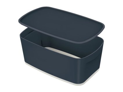 Úložná krabice s víkem Leitz Cosy MyBox, S, šedá