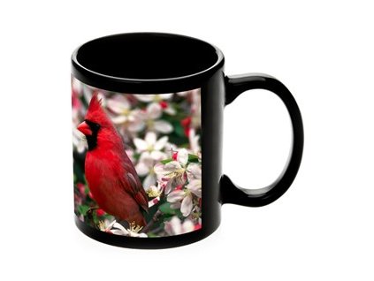 1E111C3B FC9C 4034 B99B A9024F6BC78C F6ABDAF0 A6E8 4CDE 9388 4DFD4112A602