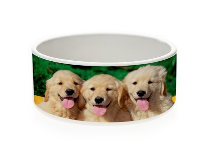 786F8D59 E558 4B91 96A2 7704B6C36222 AC81AE52 FB32 491E 87F1 C6E4A56F8535