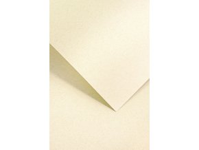 Galeria Papieru ozdobný papír Nature světlé béžová 220g, 20ks