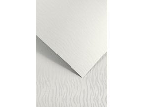 Galeria Papieru ozdobný papír Pacific bílá 200g, 20ks