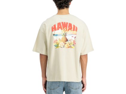 alpha-industries-tricko-panske-hawaii-aloha-backprint-t-shirt-vintage-white