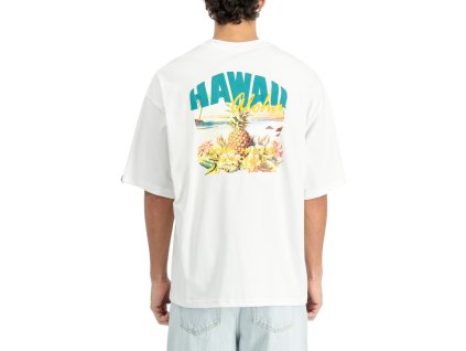 Alpha Industries tričko pánske Hawaii Aloha Backprint T Shirt White