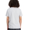 Alpha Industries tričko pánske Alpha PP T pastel grey b