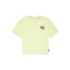 Alpha Industries tričko pánske CANDY CREW T arctic lime 2